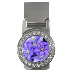 Purple Wildflowers For Fms Money Clip (cz) by FunWithFibro