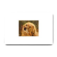 Golden Retriever Small Door Mat by LabsandRetrievers