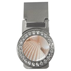 Sunny White Seashells Money Clip (cz) by yoursparklingshop