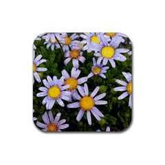 Yellow White Daisy Flowers Drink Coaster (square) by yoursparklingshop