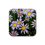 Yellow White Daisy Flowers Drink Coaster (Square) Front