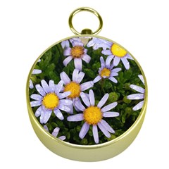 Yellow White Daisy Flowers Gold Compass by yoursparklingshop