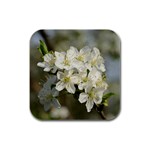 Spring Flowers Drink Coasters 4 Pack (Square) Front