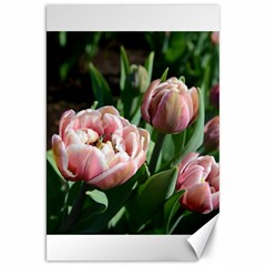 Tulips Canvas 20  X 30  (unframed) by anstey