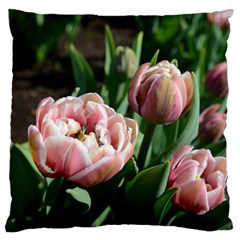 Tulips Standard Flano Cushion Case (two Sides) by anstey