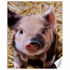 Sweet Piglet Canvas 16  X 20   by ImpressiveMoments