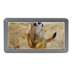 Lovely Meerkat 515p Memory Card Reader (mini) by ImpressiveMoments