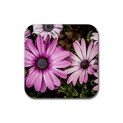 Beautiful Colourful African Daisies  Rubber Coaster (square)  by OZMedia