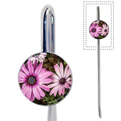 Beautiful Colourful African Daisies  Book Mark by OZMedia