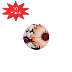 Beautiful Colourful African Daisies 1  Mini Buttons (10 Pack)  by OZMedia