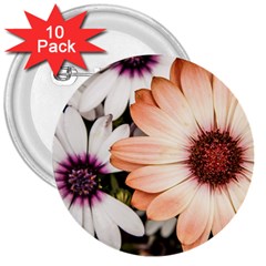 Beautiful Colourful African Daisies 3  Buttons (10 Pack)  by OZMedia