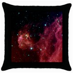 BARNARD 30 Throw Pillow Cases (Black) Front