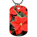 POINSETTIA Dog Tag (Two Sides) Back