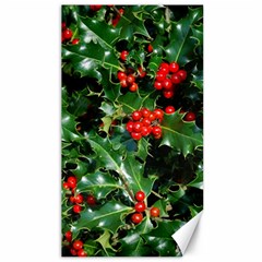 Holly 2 Canvas 40  X 72   by trendistuff