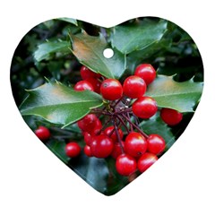 Holly 1 Ornament (heart)  by trendistuff