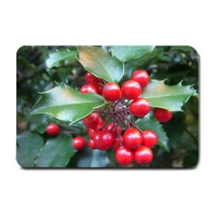 Holly 1 Small Doormat  by trendistuff