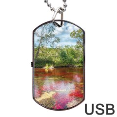 Cano Cristales 3 Dog Tag Usb Flash (two Sides)  by trendistuff