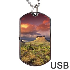 Chapada Diamantina 1 Dog Tag Usb Flash (two Sides)  by trendistuff