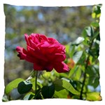 RED ROSE 1 Large Flano Cushion Cases (Two Sides)  Front