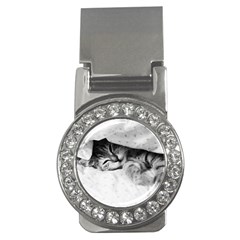 Sleepy Kitty Money Clips (cz)  by trendistuff