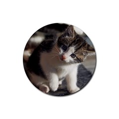 Questioning Kitty Rubber Coaster (round)  by trendistuff