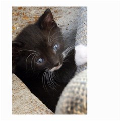 Pretty Blue-eyed Kitty Small Garden Flag (two Sides) by trendistuff