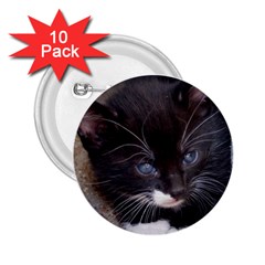 Kitty In A Corner 2 25  Buttons (10 Pack)  by trendistuff