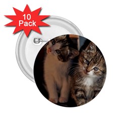 Cute Kitties 2 25  Buttons (10 Pack)  by trendistuff