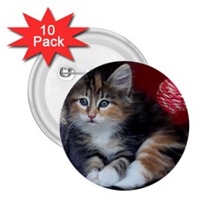 Comfy Kitty 2 25  Buttons (10 Pack)  by trendistuff