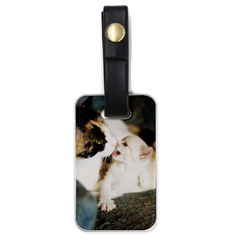 Calico Cat And White Kitty Luggage Tags (one Side)  by trendistuff