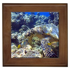 Sea Turtle Framed Tiles by trendistuff