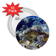 Sea Turtle 2 25  Buttons (10 Pack)  by trendistuff