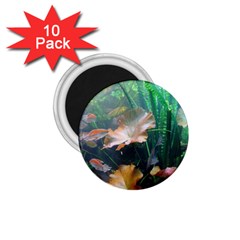 Marine Life 1 75  Magnets (10 Pack)  by trendistuff