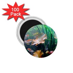 Marine Life 1 75  Magnets (100 Pack)  by trendistuff