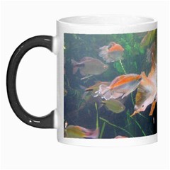 Marine Life Morph Mugs by trendistuff