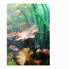 Marine Life Small Garden Flag (two Sides) by trendistuff