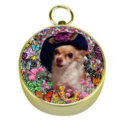 Chi Chi In Butterflies, Chihuahua Dog In Cute Hat Gold Compasses by DianeClancy