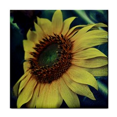 Sunflower Photography  Face Towel by vanessagf