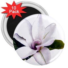 Magnolia Wit Aquarel Painting Art 3  Magnets (10 Pack)  by picsaspassion