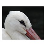 Wild Stork bird, close-up Double Sided Flano Blanket (Large)  80 x60  Blanket Front