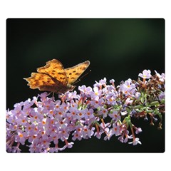 Butterfly Sitting On Flowers Double Sided Flano Blanket (small)  by picsaspassion