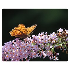 Butterfly Sitting On Flowers Double Sided Flano Blanket (medium)  by picsaspassion