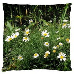 Wild Daisy Summer Flowers Standard Flano Cushion Case (one Side) by picsaspassion