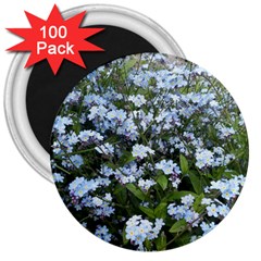 Blue Forget-me-not Flowers 3  Magnets (100 Pack) by picsaspassion