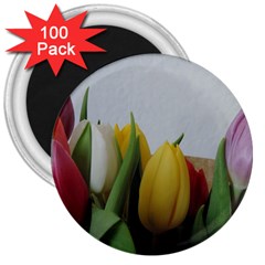 Colorful Bouquet Tulips 3  Magnets (100 Pack) by picsaspassion