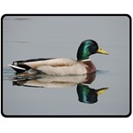 Wild Duck swimming in lake Fleece Blanket (Medium)  60 x50  Blanket Front