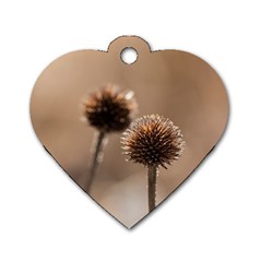 2  Verwelkte Kugeldistel Dog Tag Heart (one Side) by wsfcow