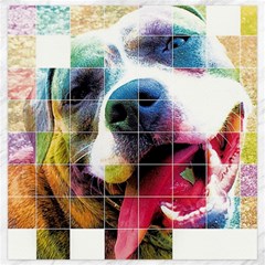 Layla Merch Canvas 20  X 20   by tigflea