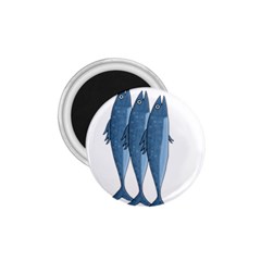 Mackerel 1 75  Magnets by Valentinaart