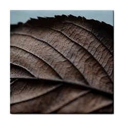 Leaf Veins Nerves Macro Closeup Tile Coasters by Amaryn4rt